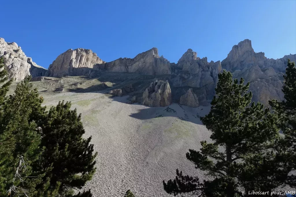 media-library5o9vsnc6ktpgcdUzKhp