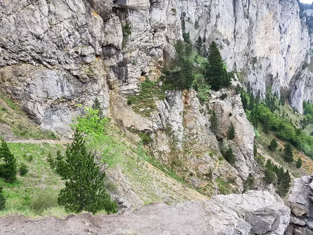 media-libraryq9m56e62i0t2dCNvCUp