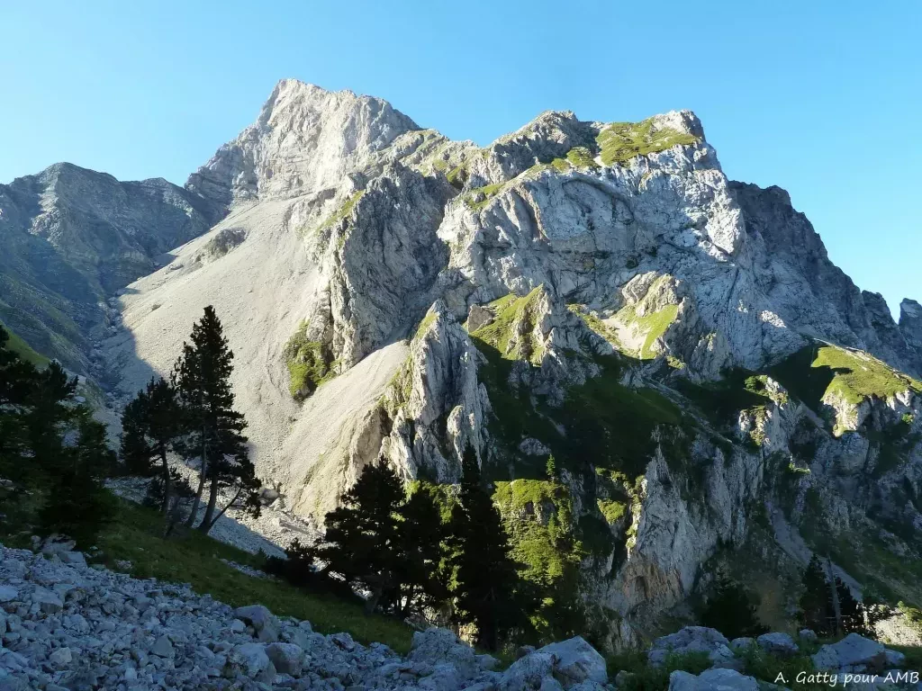 media-library3nraugkgrda31Pjlfzn