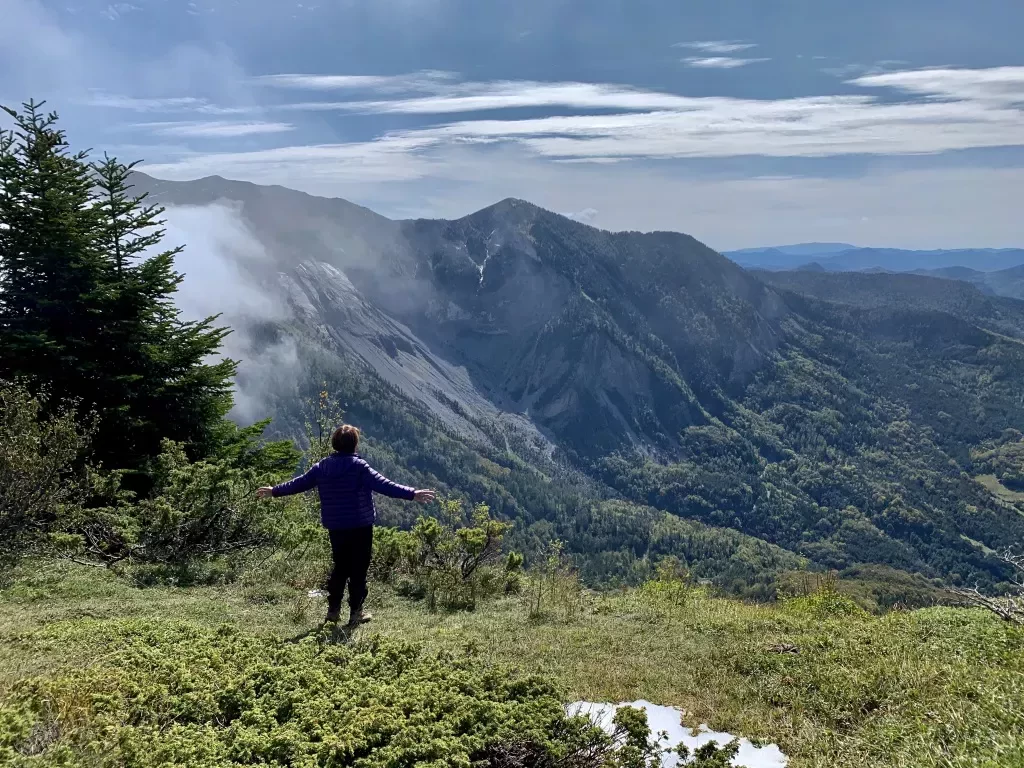 media-libraryvmcu69bh7h62bAGujto