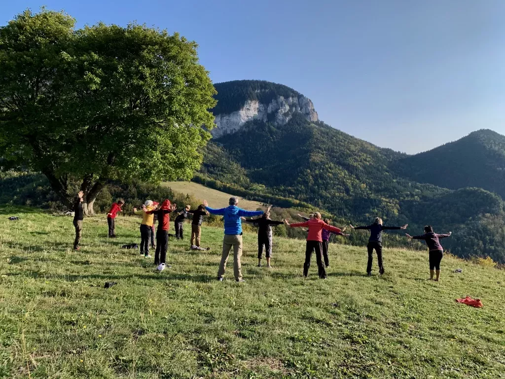 media-libraryund09s2u7s654P0SeJl