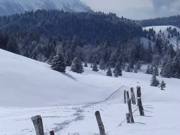 RAQUETTE ET BIEN ÊTRE - Massif des Bauges