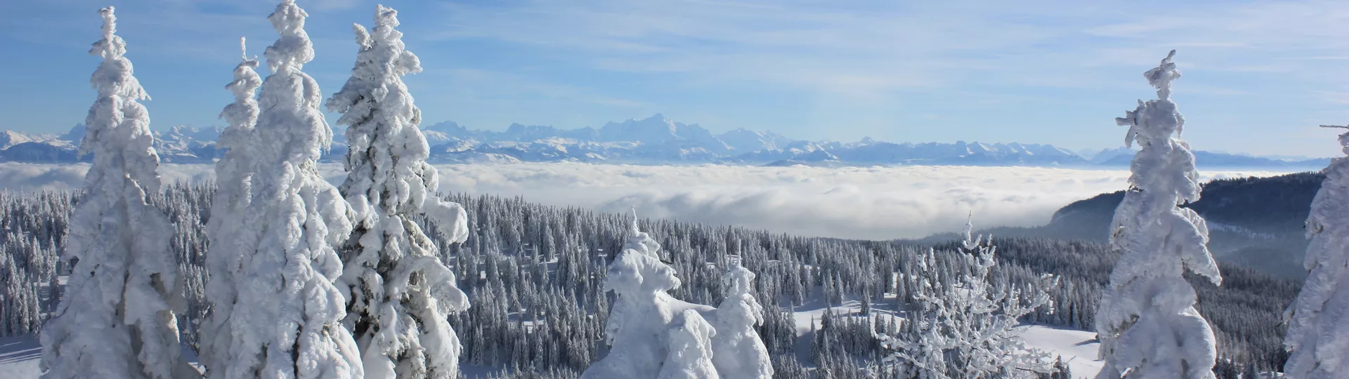 JURA, BALCON DES ALPES ET DU LÉMAN