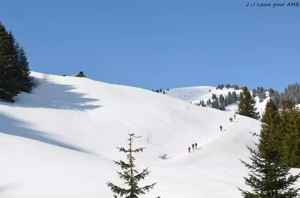 media-librarynru9krrqa2qi8XVxvHn