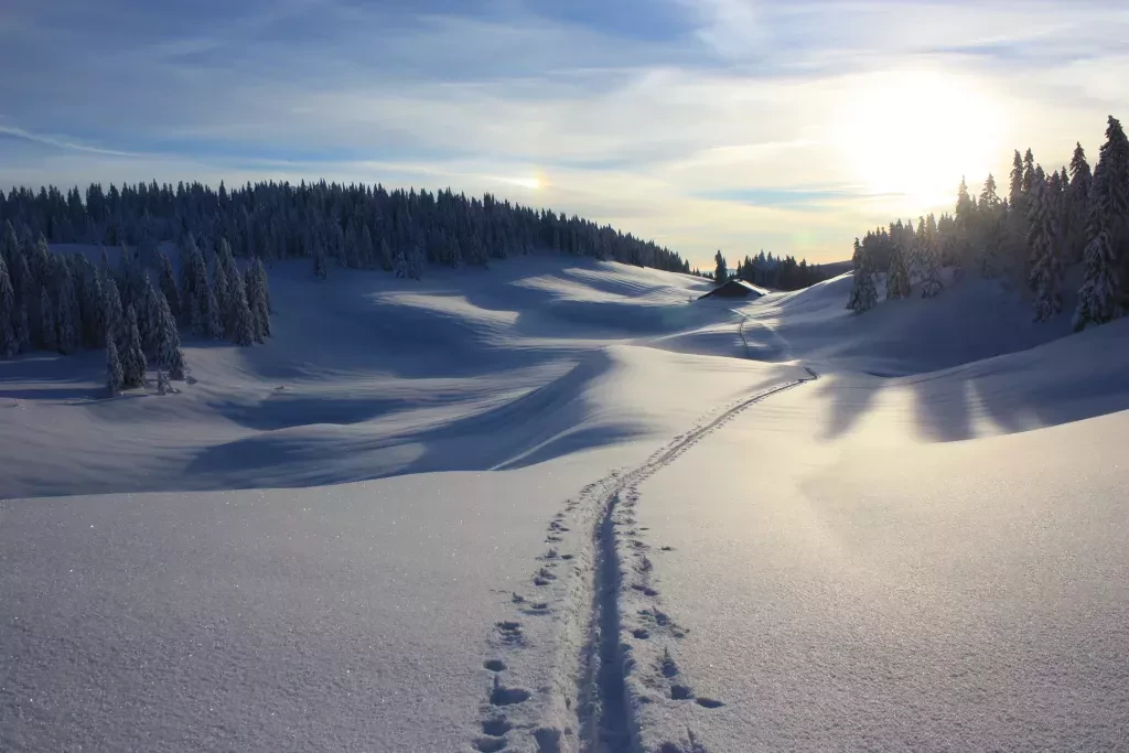 media-librarygr7npekuhas97zrhUBm