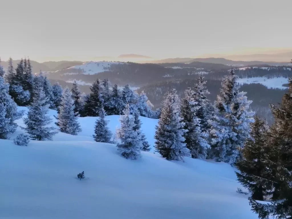 media-library5f4vg9ufv2ub8CVlH2l