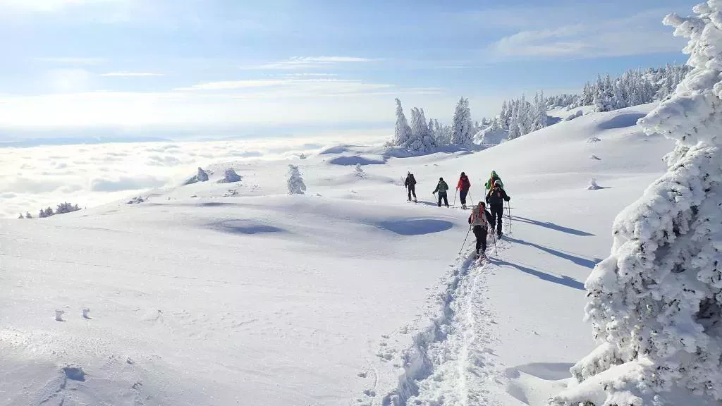 media-library4t61fc9d5pep93xaI6l