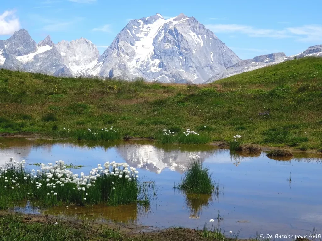 media-librarys6qufup82p6u4LEWuJm