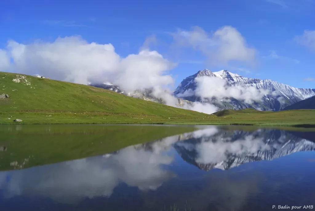 media-libraryqumhnlg9li2u0KHZC9o