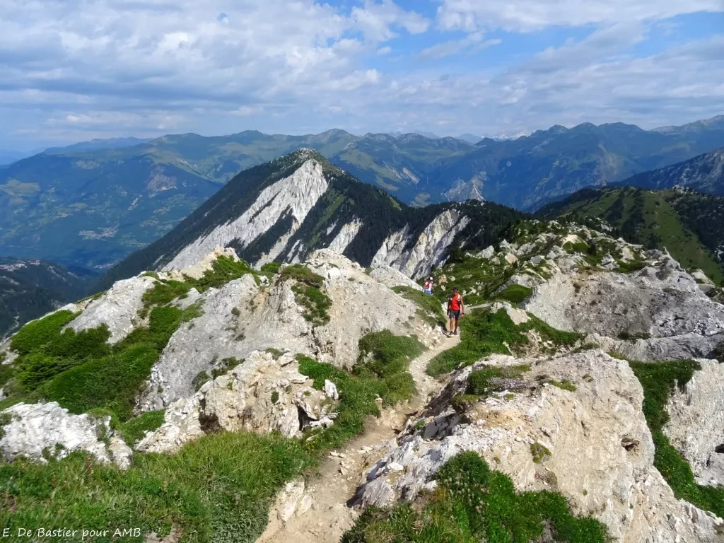 media-library8a5koqakj4aq4ntEPTl