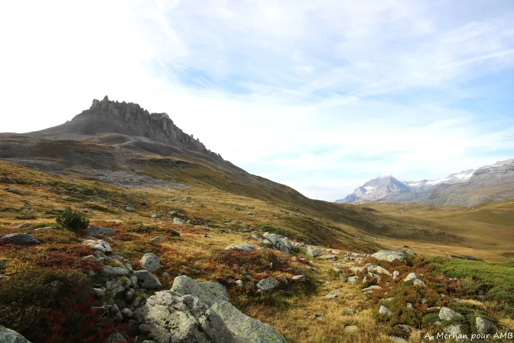 media-libraryg4dck76drln3e6qOXZn