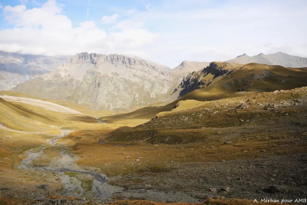 media-librarya2nru9ni60u9fKArvjo