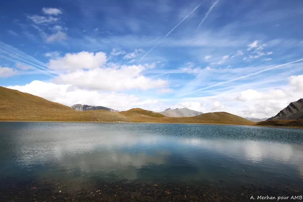 media-libraryblr2kpub84r7ciCKN7m