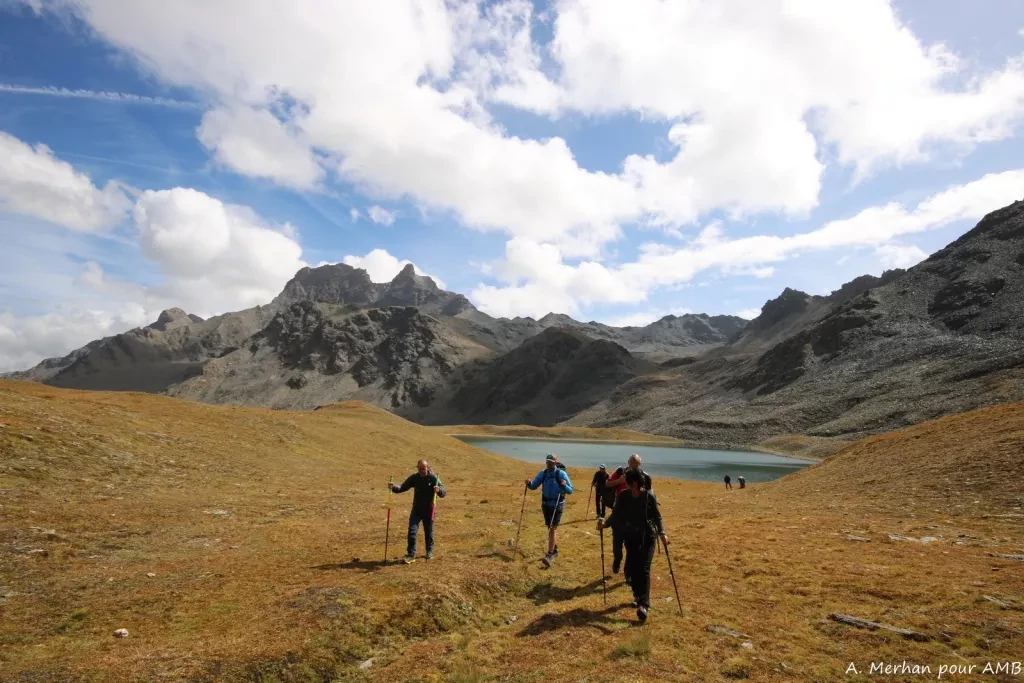 media-libraryenhesmvjrq2489zFzJo