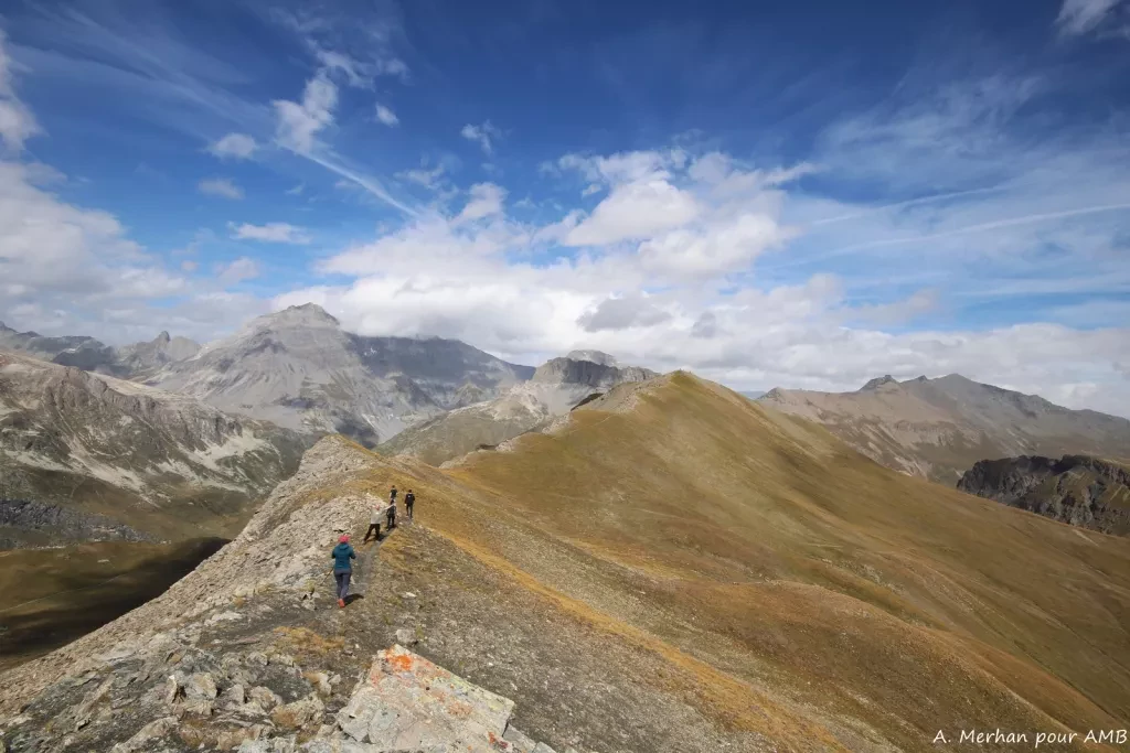 media-librarytiu9nkav3s0j9zaiCBo