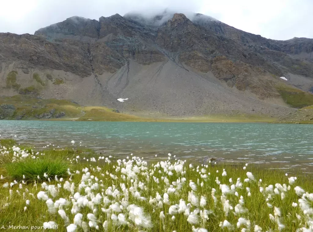 media-libraryee3cugkmk7dpaU5wJlo