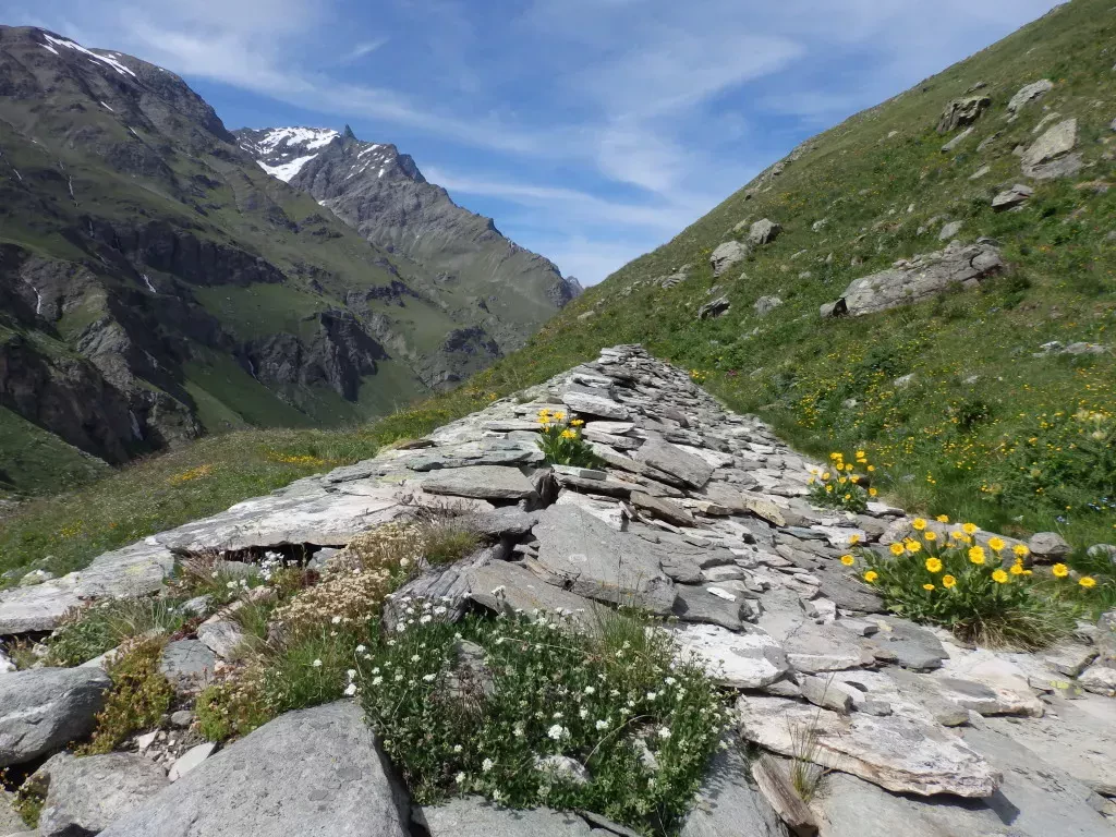 media-libraryi9fo4gfkmndk5EUrphp