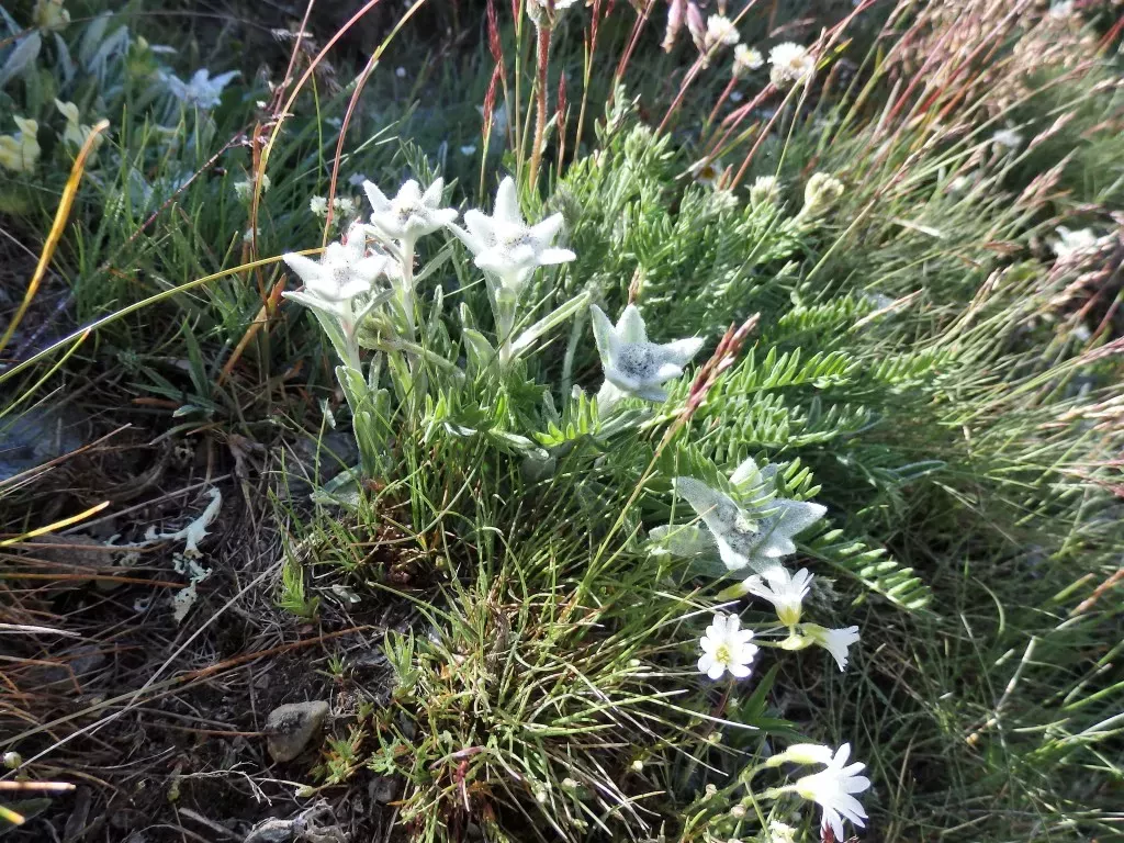 media-librarysa7tg2892utn20uhoYo