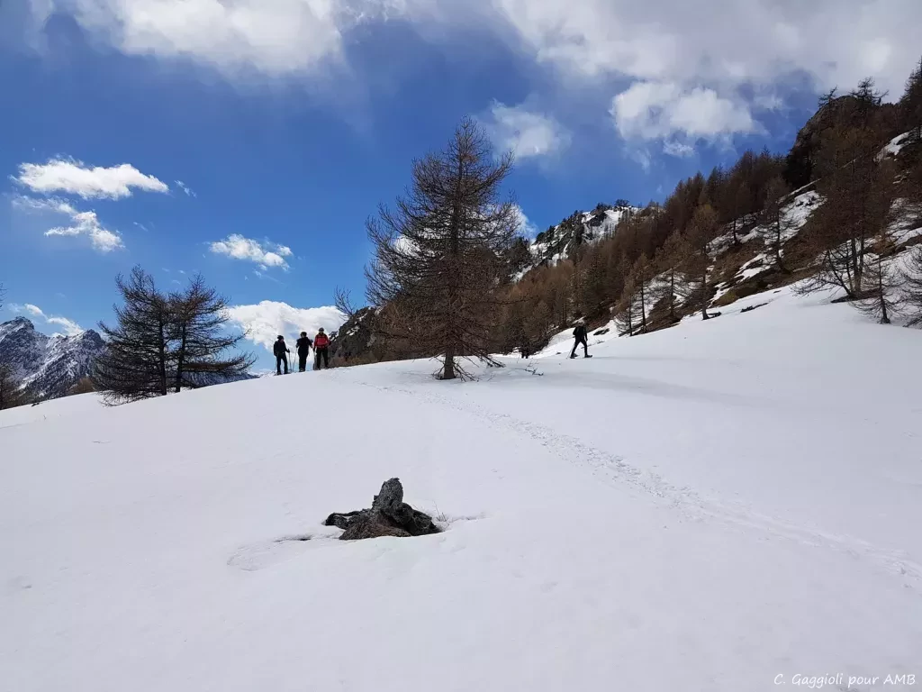 media-libraryjt2o4hinpgh2eQKVXAm