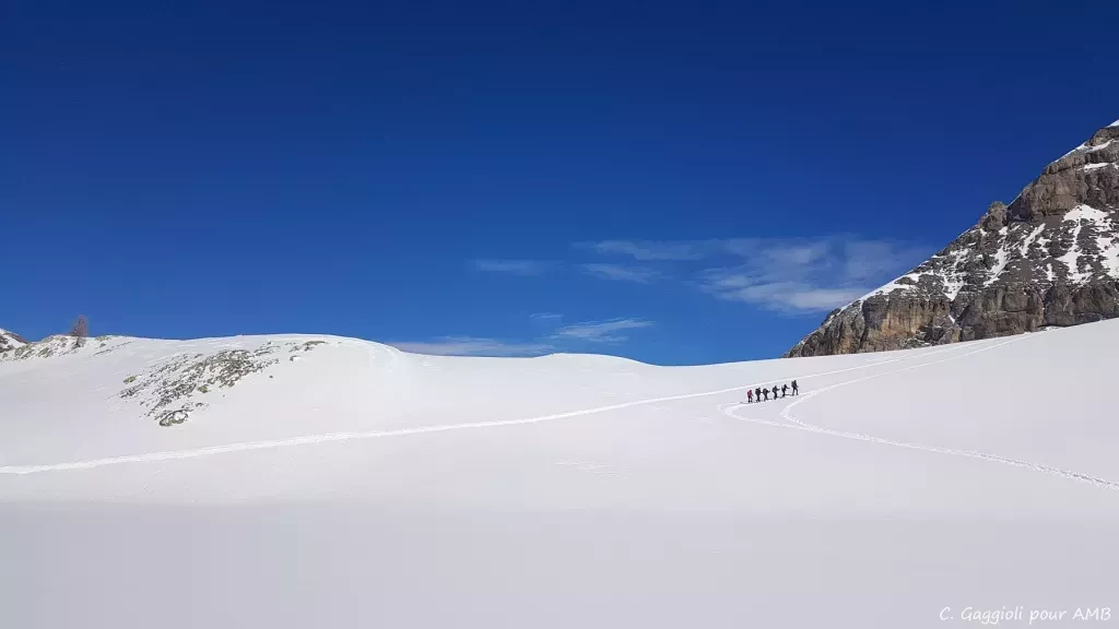 media-library71ldehggrsah140uprm