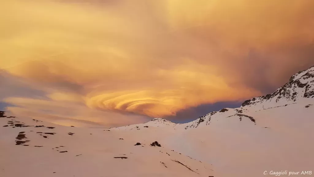 media-library8d51glfi3rtf6cxpOlp