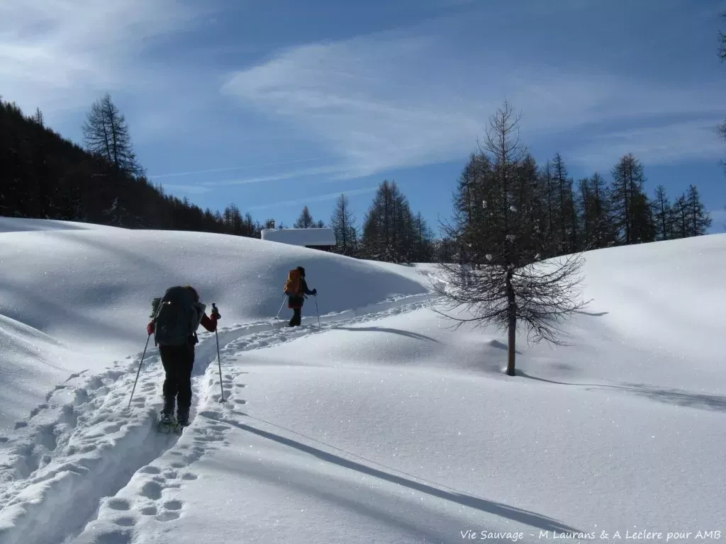 media-libraryd7jrinkkev0neEHfPfo