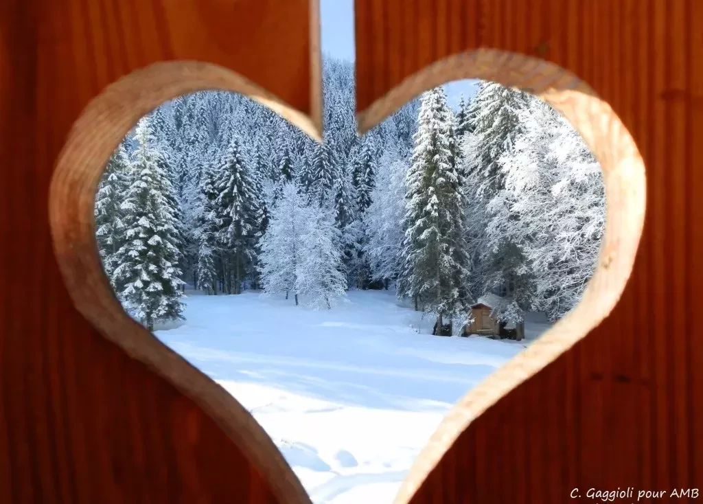 media-library23dil8417nlt2eNDnJo