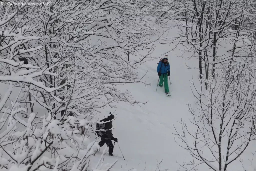 media-library4s7ko3nh0a3i5U1SqYo