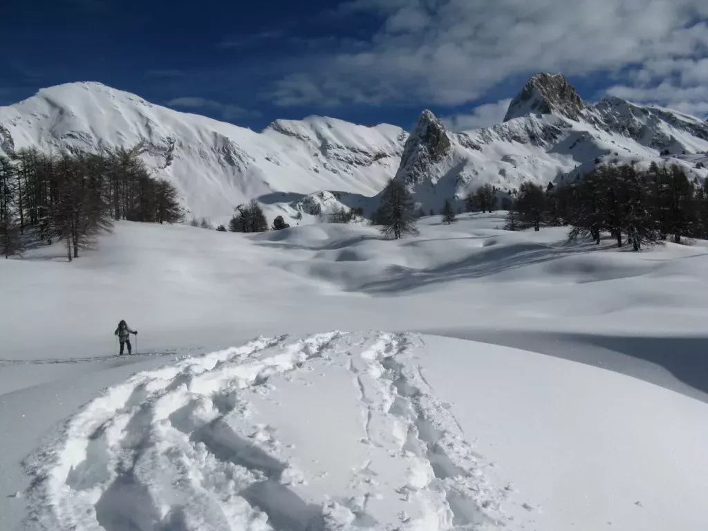 media-library2c4b0407ur7idCHwntm