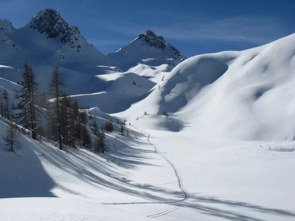 media-librarybesog4734nvp3yAdAYn