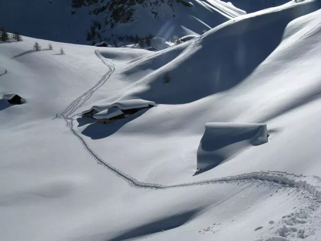 media-libraryuji0uskkg06m82GphHl