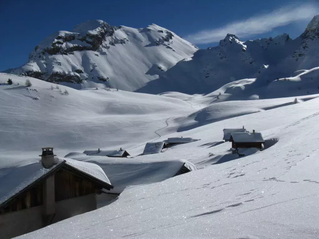 media-libraryvoipketqjc73aDefjFo