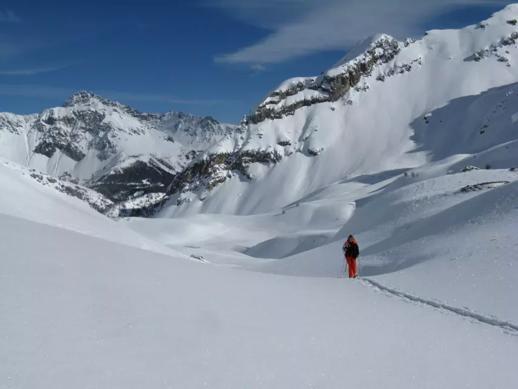 media-libraryc0lulesoj2f34NyIyin