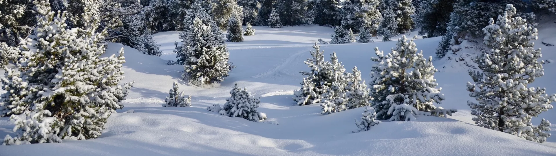 TRAVERSÉE DU VERCORS EN RAQUETTES