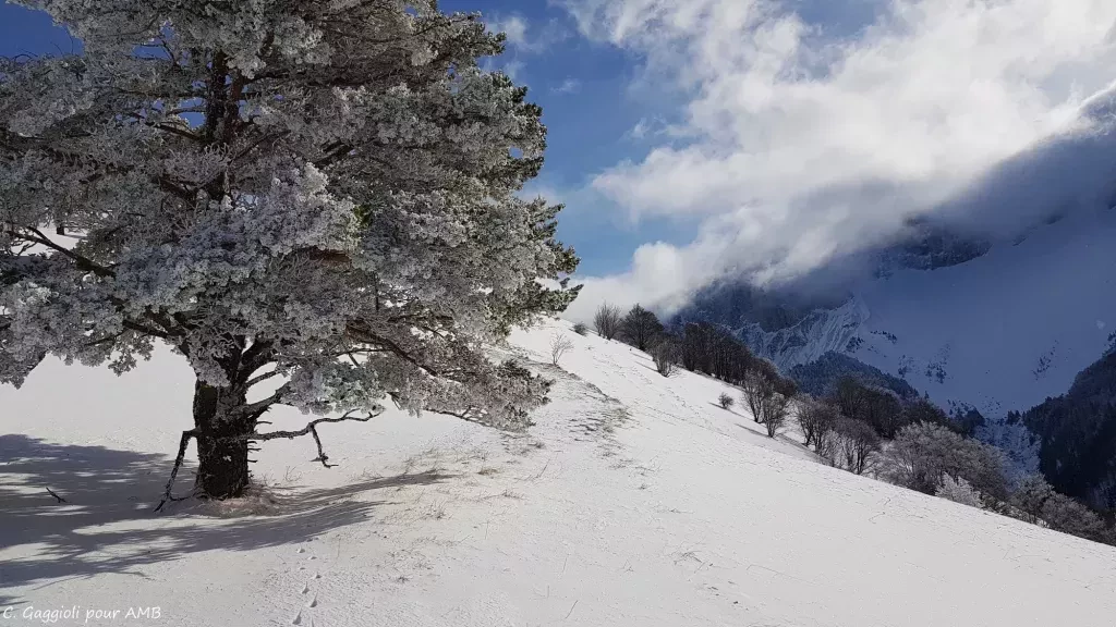 media-library3p7gvh8hbcfg01rNPyn