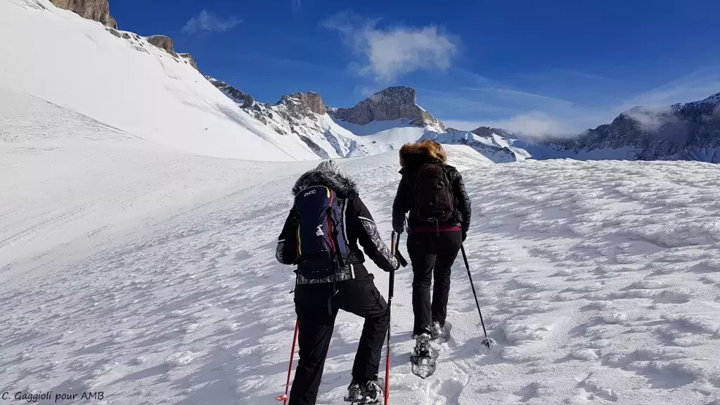 media-librarya8u36nkr519h3vhauFn