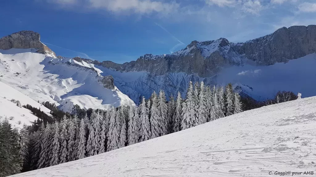 media-libraryq1imu6pg94ureNvYyDo