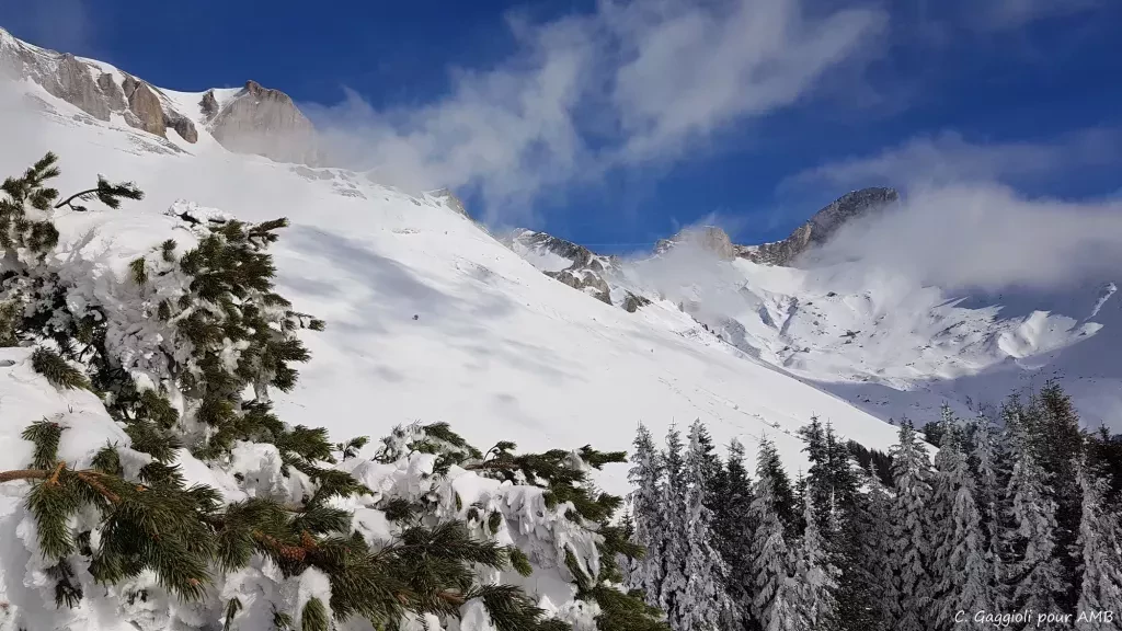 media-librarynhjvprle4jp23qdnJpn