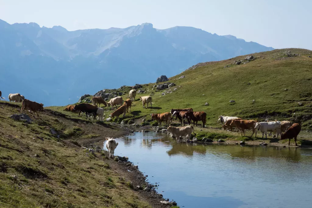 media-librarycqf3q309otpk7RWnCmp