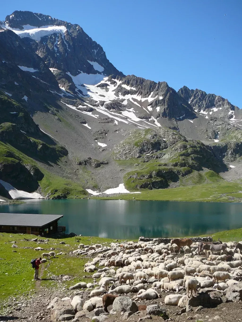 media-librarygoglomkuml0v51bE5qm