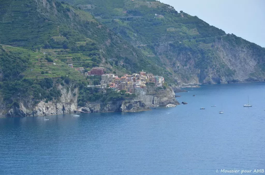 media-libraryc6m5n0lvo8g5f5KiAzn