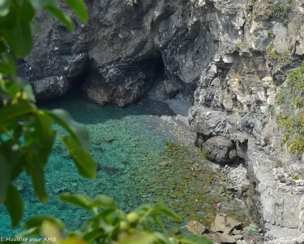 media-library7stpv4k27fc5eluCaro