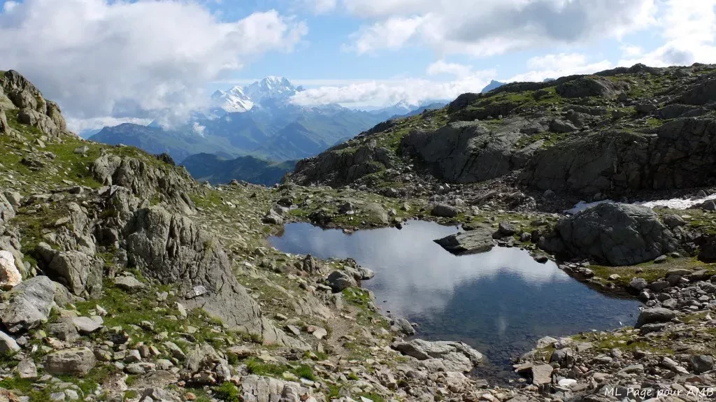 media-libraryb87metkljjj7bU20gfo