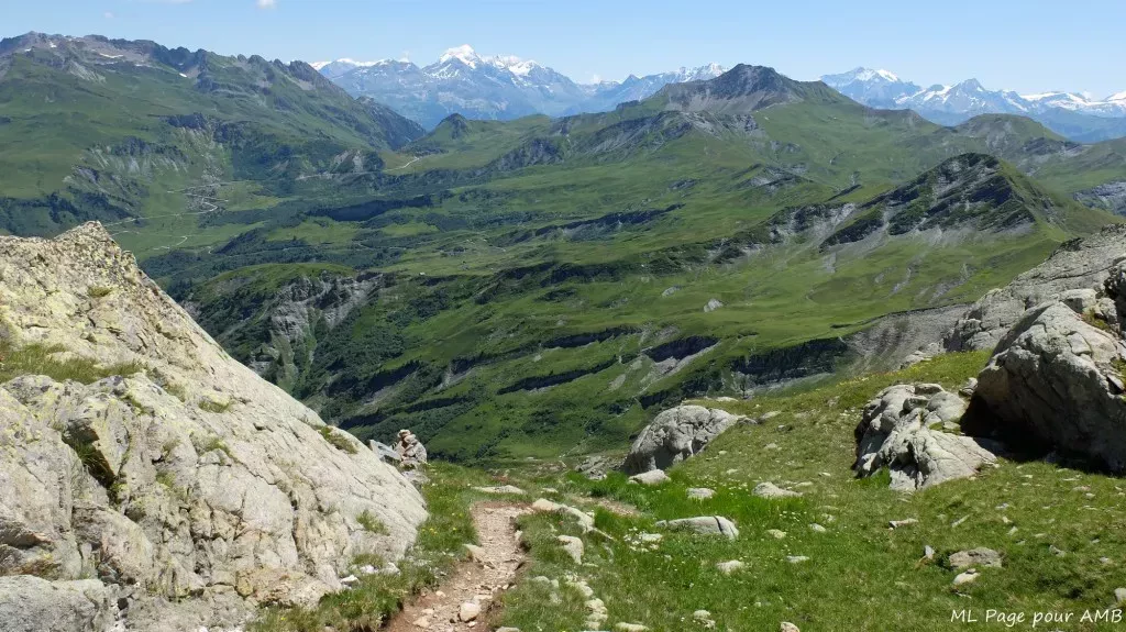 media-librarycs54tmdtescn1cBCEIl