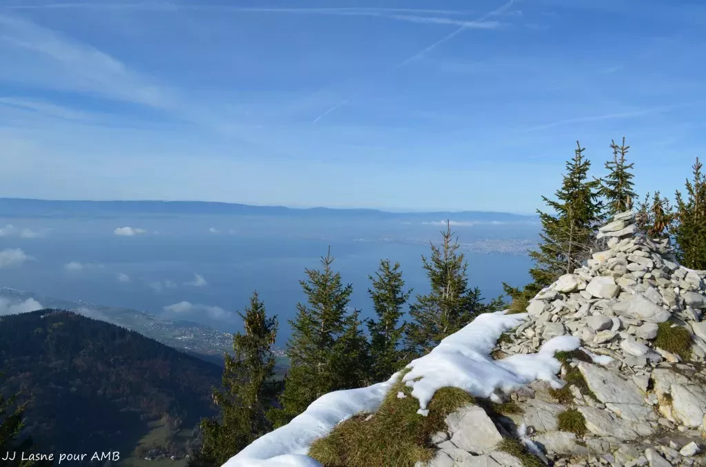 media-librarysm25uce1of1u82DZqLl