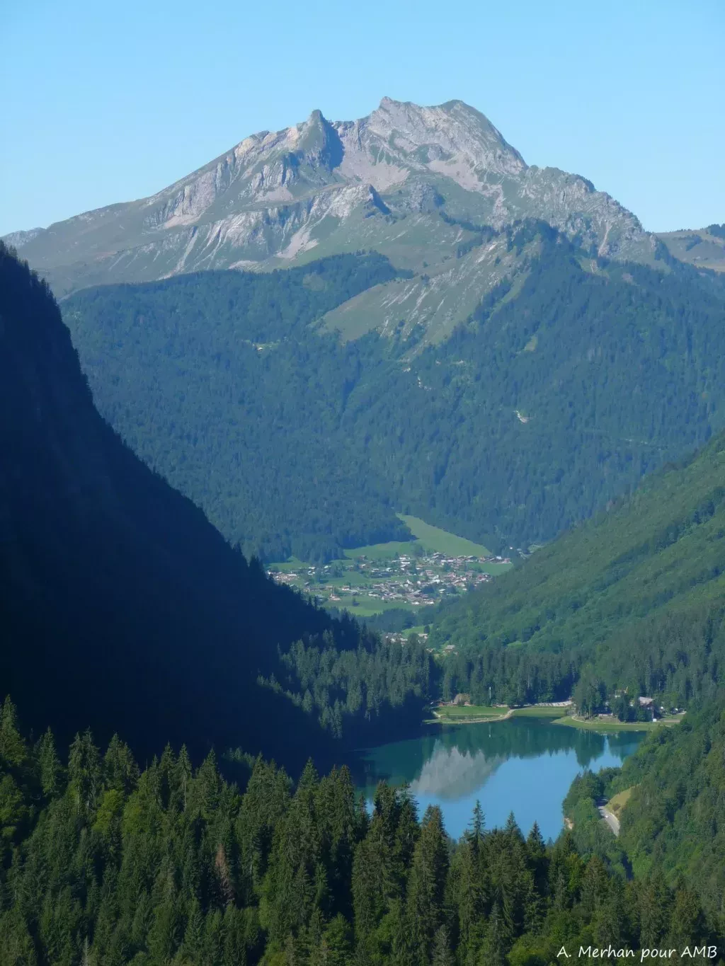 media-libraryh0tr8p4j5n7pawXxbKl