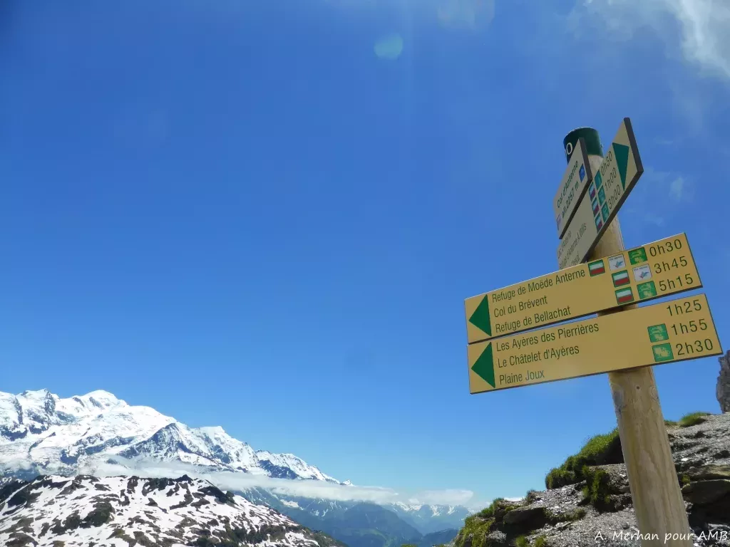 media-libraryoc8cqcm6phpn782WqMp