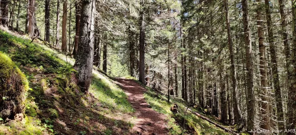 media-librarydb8psq2a4doo6kgapxm