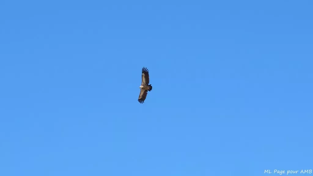 media-librarypk37fmjv19fj5B9c4ym