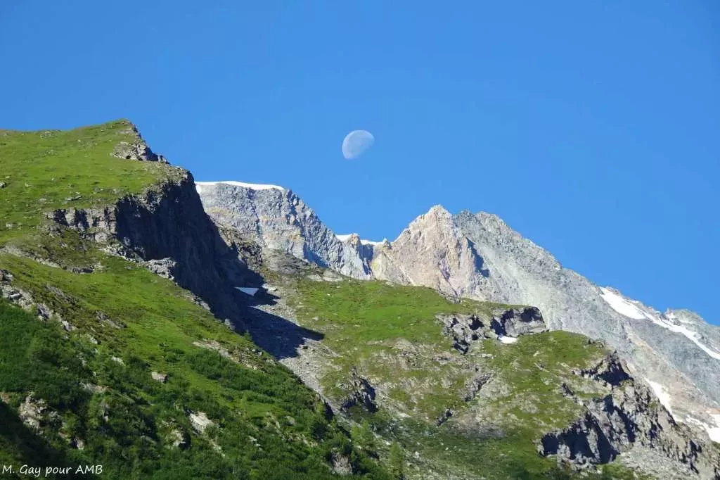 media-librarya83m5ksloiun2OHa6Po